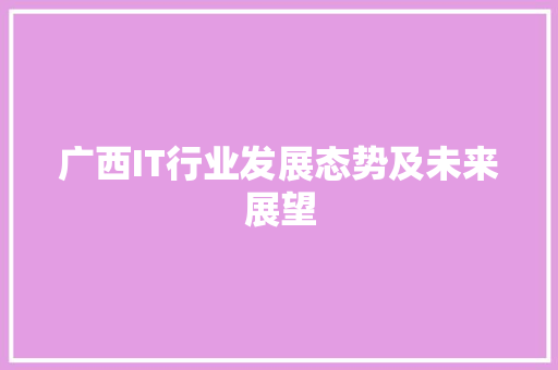 广西IT行业发展态势及未来展望