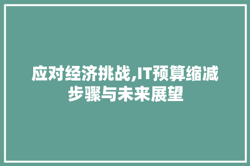 应对经济挑战,IT预算缩减步骤与未来展望