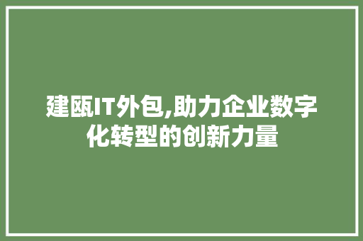 建瓯IT外包,助力企业数字化转型的创新力量