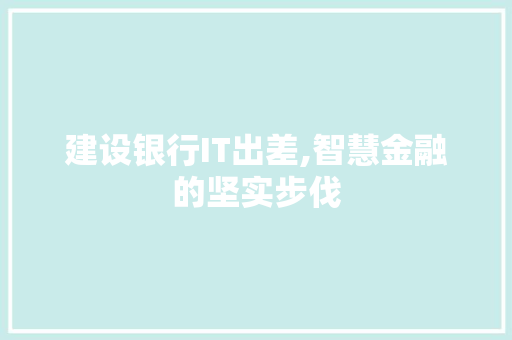 建设银行IT出差,智慧金融的坚实步伐