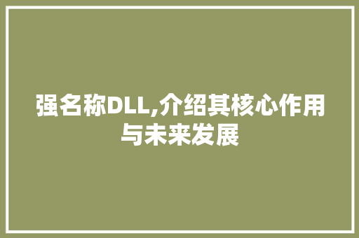 强名称DLL,介绍其核心作用与未来发展