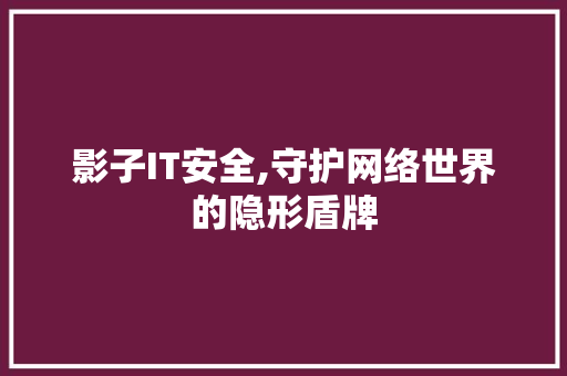 影子IT安全,守护网络世界的隐形盾牌