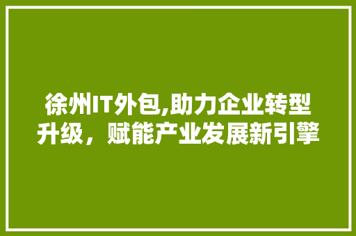 徐州IT外包,助力企业转型升级，赋能产业发展新引擎