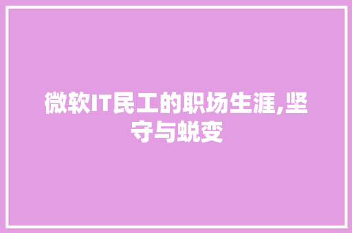 微软IT民工的职场生涯,坚守与蜕变