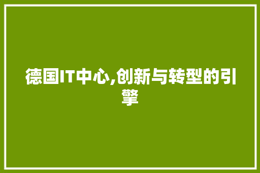 德国IT中心,创新与转型的引擎