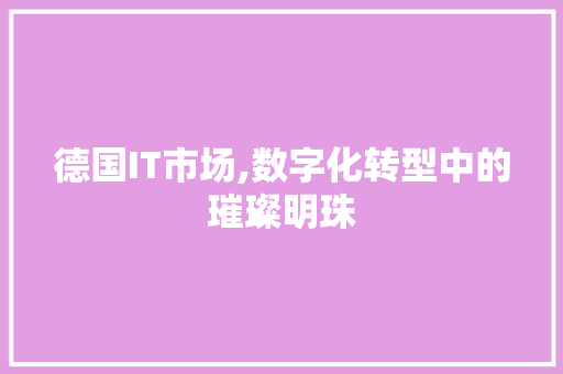 德国IT市场,数字化转型中的璀璨明珠