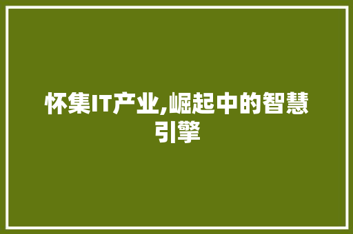 怀集IT产业,崛起中的智慧引擎