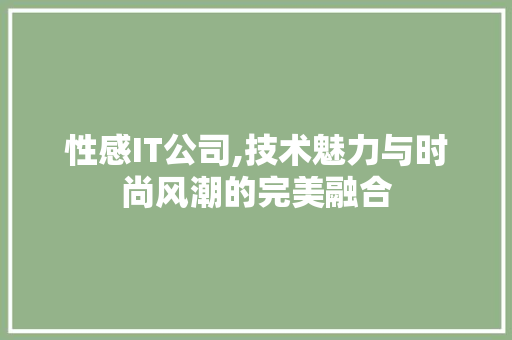 性感IT公司,技术魅力与时尚风潮的完美融合