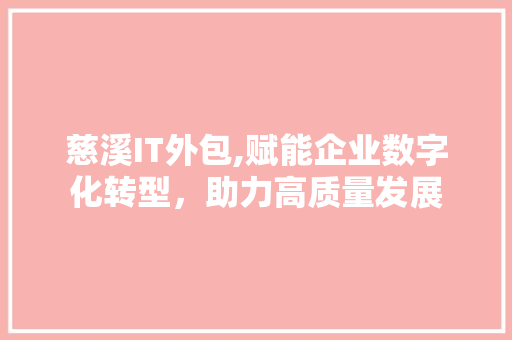 慈溪IT外包,赋能企业数字化转型，助力高质量发展 GoogleSEO