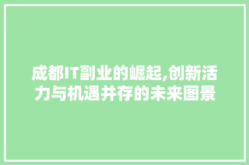 成都IT副业的崛起,创新活力与机遇并存的未来图景 必应SEO