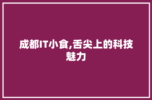 成都IT小食,舌尖上的科技魅力 神马SEO