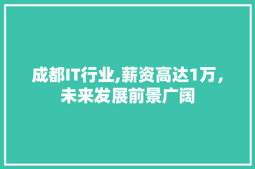 成都IT行业,薪资高达1万，未来发展前景广阔