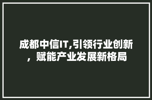 成都中信IT,引领行业创新，赋能产业发展新格局