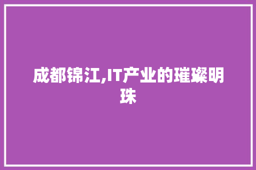 成都锦江,IT产业的璀璨明珠