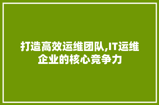 打造高效运维团队,IT运维企业的核心竞争力