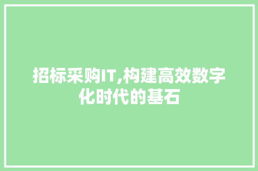 招标采购IT,构建高效数字化时代的基石