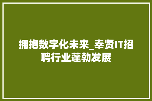 拥抱数字化未来_奉贤IT招聘行业蓬勃发展