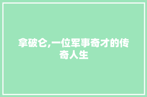 拿破仑,一位军事奇才的传奇人生