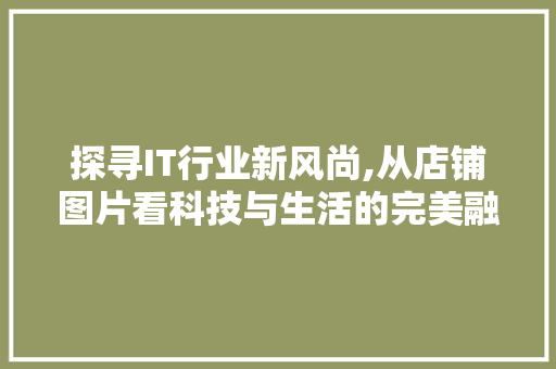 探寻IT行业新风尚,从店铺图片看科技与生活的完美融合