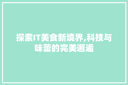 探索IT美食新境界,科技与味蕾的完美邂逅