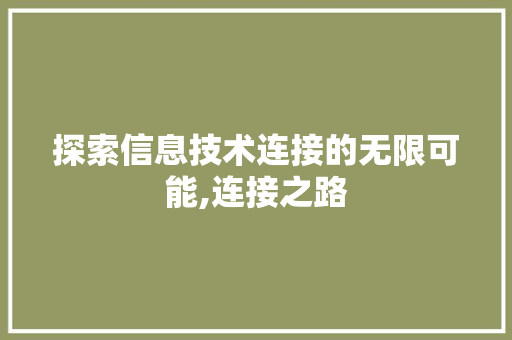 探索信息技术连接的无限可能,连接之路 神马SEO