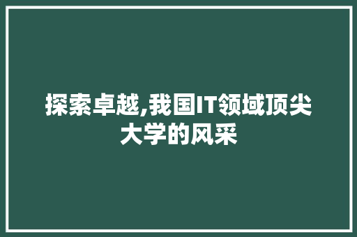 探索卓越,我国IT领域顶尖大学的风采 GoogleSEO
