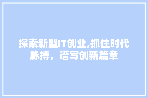 探索新型IT创业,抓住时代脉搏，谱写创新篇章
