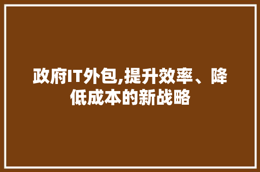 政府IT外包,提升效率、降低成本的新战略