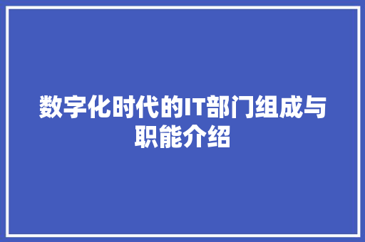 数字化时代的IT部门组成与职能介绍