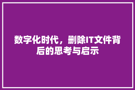 数字化时代，删除IT文件背后的思考与启示