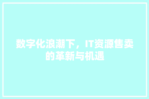 数字化浪潮下，IT资源售卖的革新与机遇