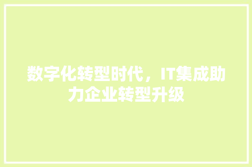 数字化转型时代，IT集成助力企业转型升级