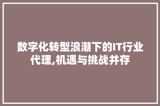 数字化转型浪潮下的IT行业代理,机遇与挑战并存