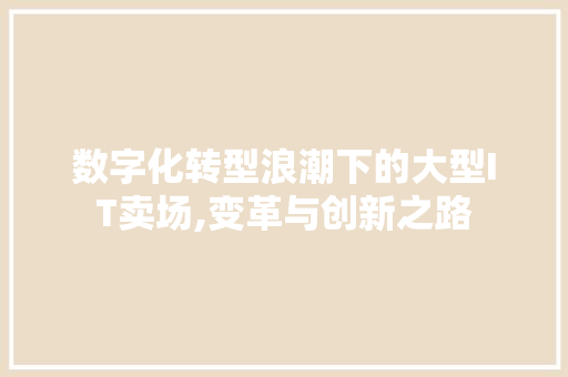 数字化转型浪潮下的大型IT卖场,变革与创新之路