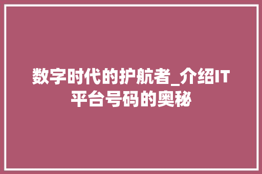 数字时代的护航者_介绍IT平台号码的奥秘