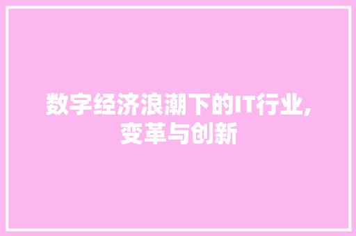 数字经济浪潮下的IT行业,变革与创新