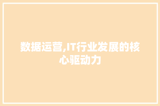 数据运营,IT行业发展的核心驱动力