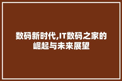 数码新时代,IT数码之家的崛起与未来展望