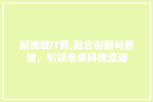 新加坡IT男,融合创新与智慧，引领未来科技浪潮 必应SEO