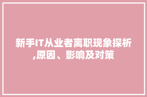 新手IT从业者离职现象探析,原因、影响及对策