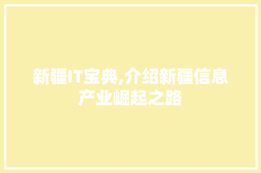 新疆IT宝典,介绍新疆信息产业崛起之路