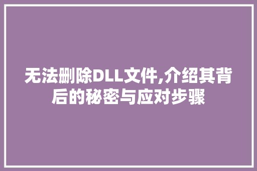 无法删除DLL文件,介绍其背后的秘密与应对步骤