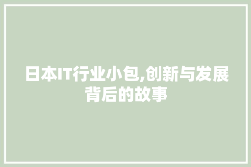 日本IT行业小包,创新与发展背后的故事
