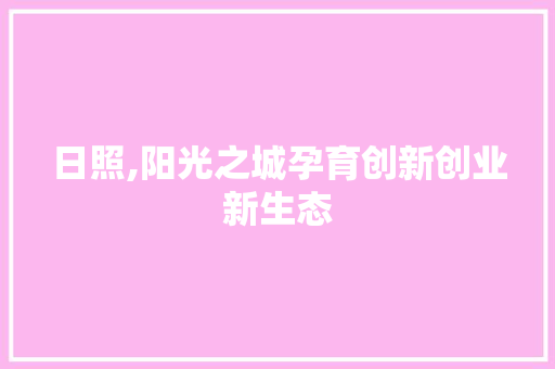 日照,阳光之城孕育创新创业新生态