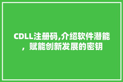CDLL注册码,介绍软件潜能，赋能创新发展的密钥 神马SEO