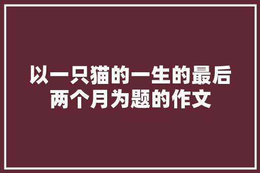 网站需要什么优化方法，你认为拼多多需要如何优化。 网站需要什么优化方法，你认为拼多多需要如何优化。 百度SEO