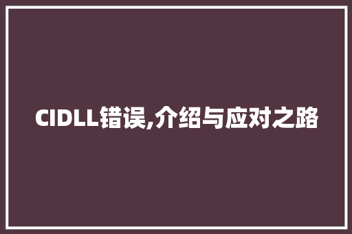 CIDLL错误,介绍与应对之路 GoogleSEO