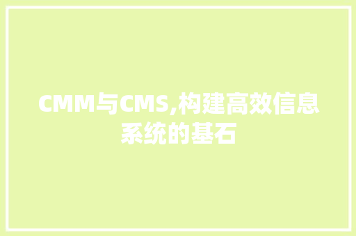 CMM与CMS,构建高效信息系统的基石 必应SEO