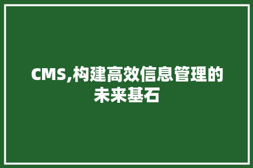 CMS,构建高效信息管理的未来基石 GoogleSEO