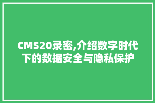 CMS20录密,介绍数字时代下的数据安全与隐私保护 GoogleSEO